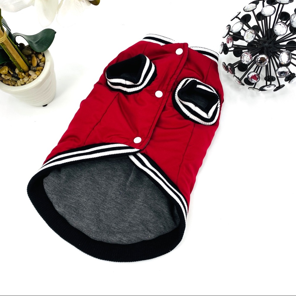 Dog Varsity Jacket - Picture 2 of 13